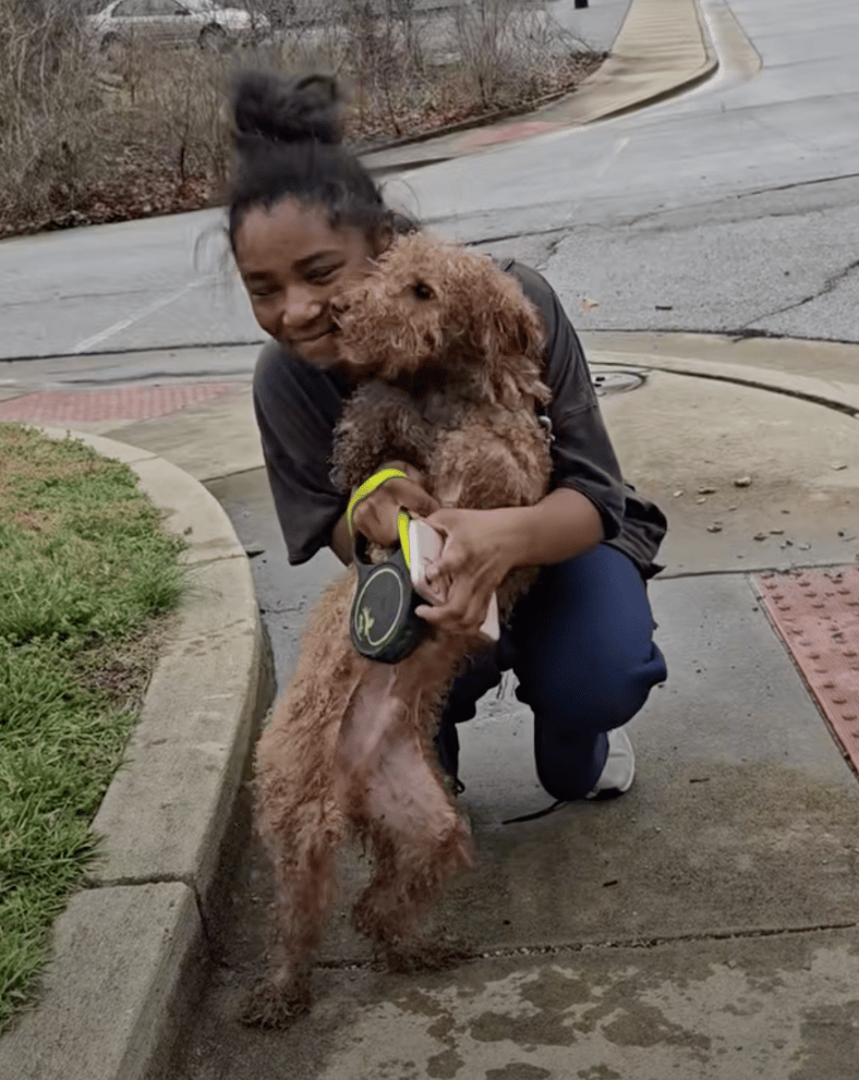 Emotional Reaction as Lost Goldendoodle Reunites With Young Owner